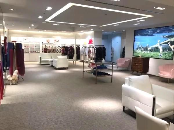 有限会社ベルーチインターナショナルの求人・転職情報