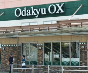 Odakyu OX ъԓX