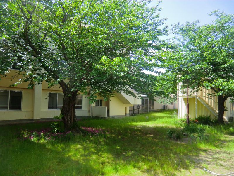 社会福祉法人天真会の求人・転職情報