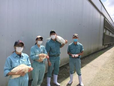 株式会社横浜ファーム