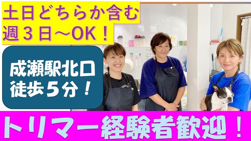 株式会社Networkのアルバイト・バイト求人情報-02