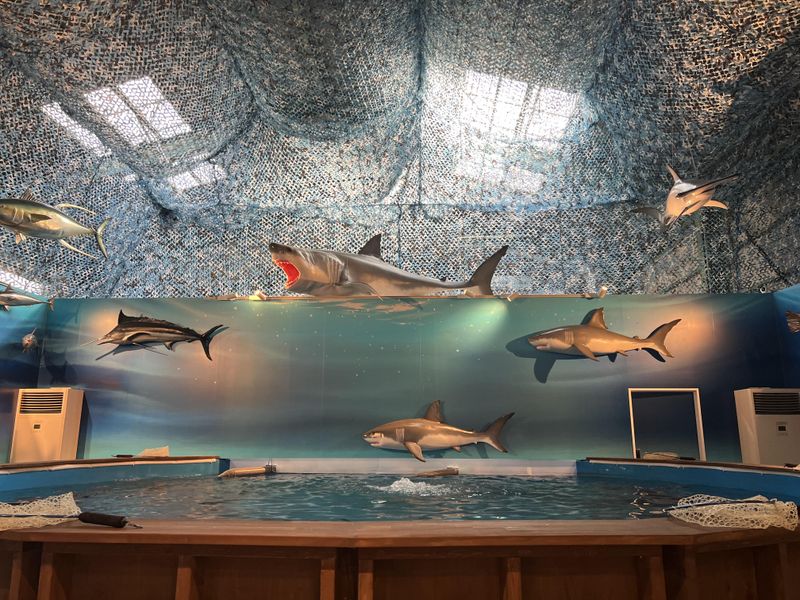 株式会社クラシードの求人・転職情報