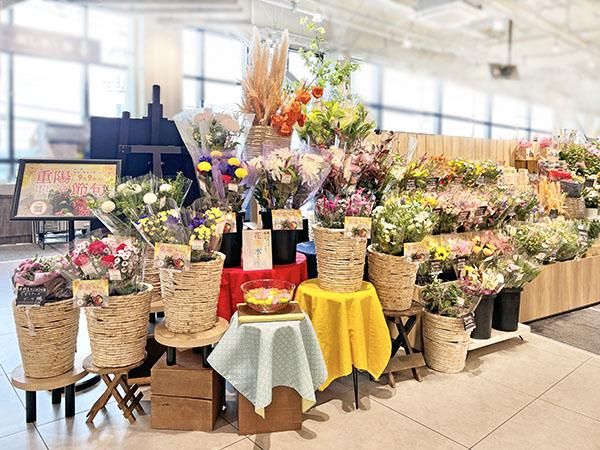 株式会社メルシーフラワーの求人・転職情報