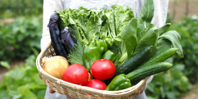 グリーンコープ生活協同組合連合会(勤務先:おおさか高槻センター)のアルバイト・バイト求人情報-04