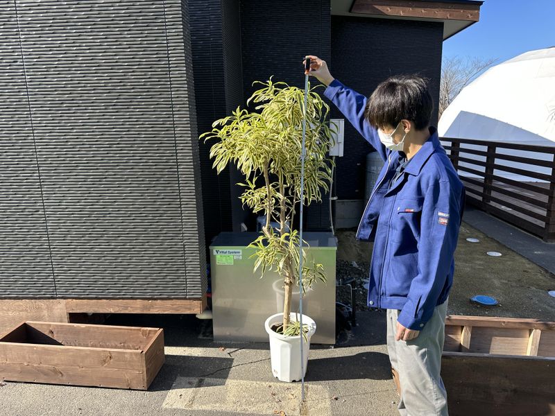 株式会社西和造園のアルバイト・バイト求人情報-02