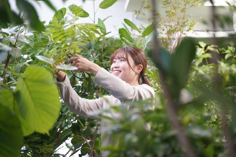 株式会社ユニバーサル園芸社　東京中央支店の求人情報
