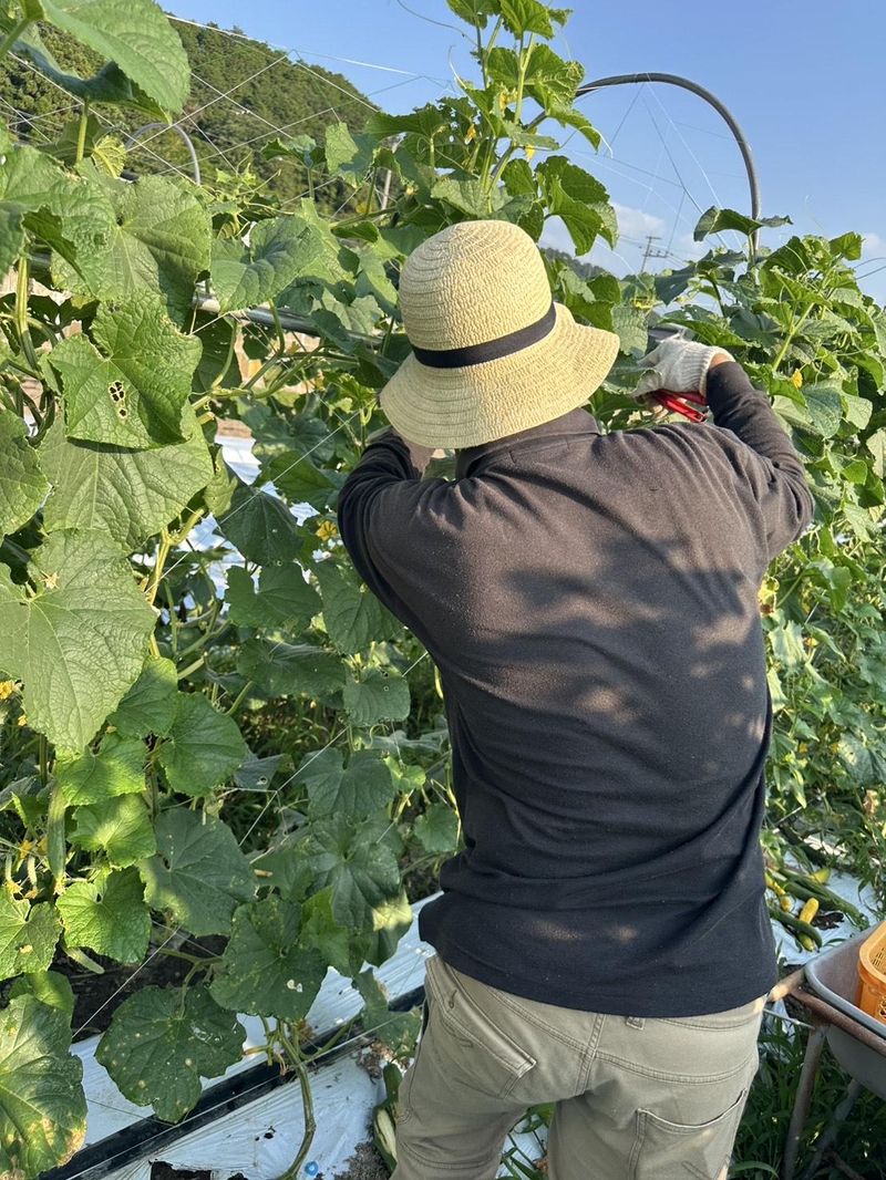 株式会社ぎばさん　ワークスタジオ伏見のアルバイト・バイト求人情報-04