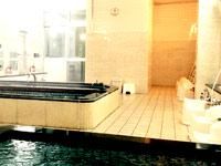 有限会社ウェブトレジャーの求人・転職情報