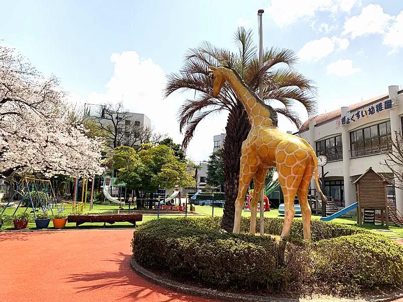玉水幼稚園の求人・転職情報