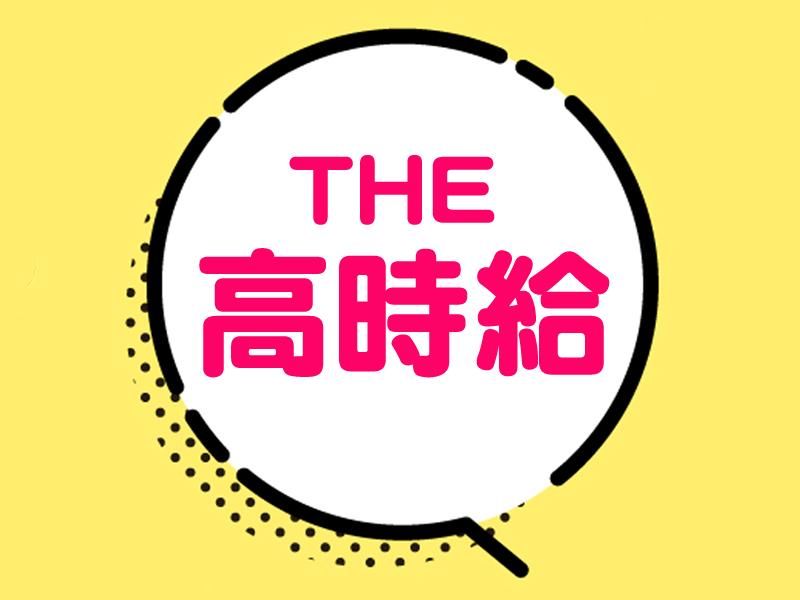 テイケイワークス株式会社　大宮支店/TW143Pの派遣求人情報