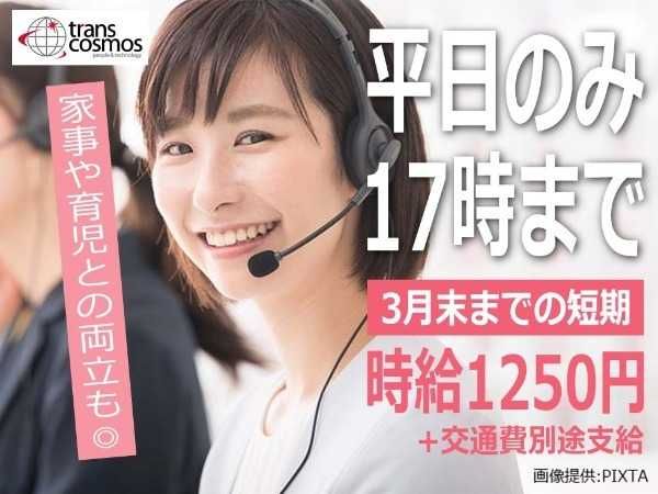 トランスコスモス株式会社の求人・転職情報