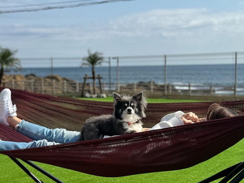 Solana Smart INN 富士山中湖のアルバイト・バイト求人情報-02