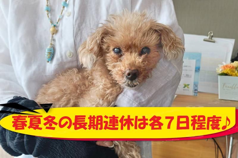 株式会社山田商会の求人情報