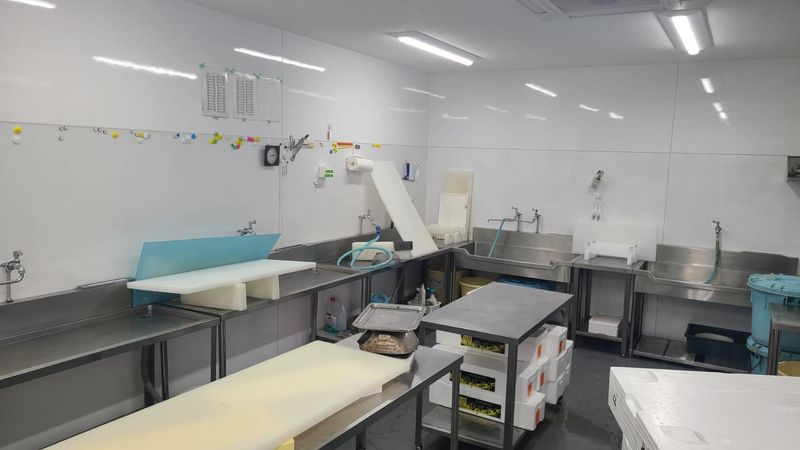 株式会社阪南水産のアルバイト・バイト求人情報-02
