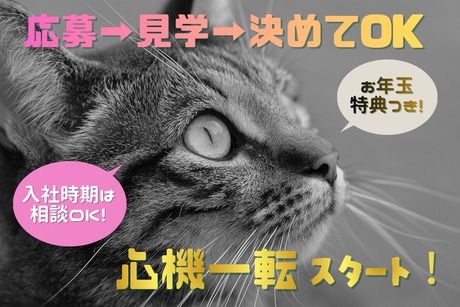 株式会社ヒューマンアイズの求人・転職情報