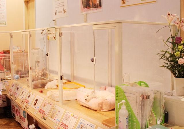 DOG&CAT　JOKER　ららぽーと柏の葉店のアルバイト・バイト求人情報-05