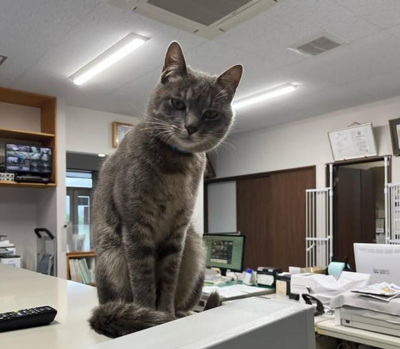 氷上物流株式会社のアルバイト・バイト求人情報-04