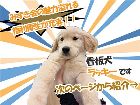 社会福祉法人みずき会の求人・転職情報