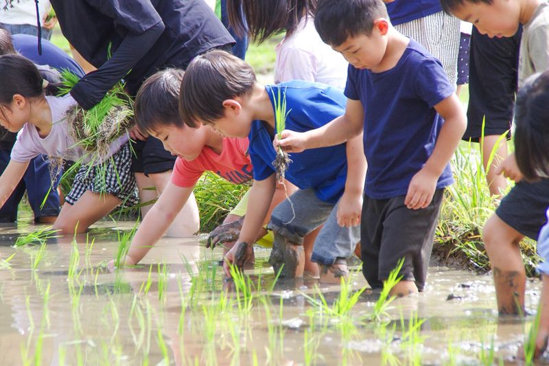 幼保連携型認定こども園　吉野保育園のアルバイト・バイト求人情報-06