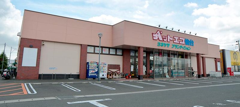 ペットエコ 松森店の求人2