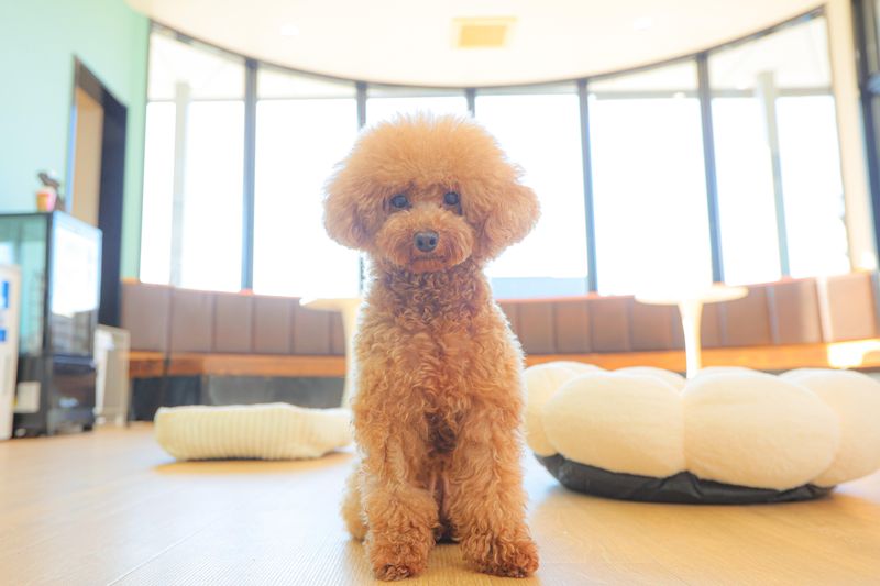 合同会社ｍｏｆｕ．の求人・転職情報