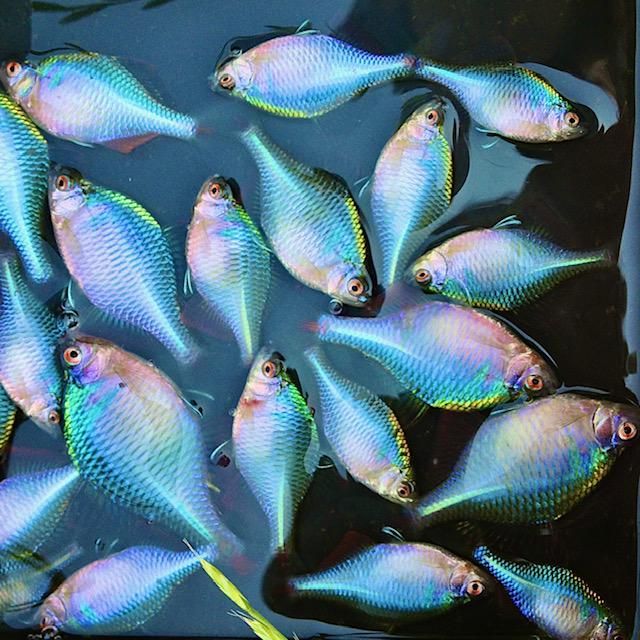 株式会社東和コーポレーション　秋葉原営業所【北赤羽】のアルバイト・バイト求人情報-13