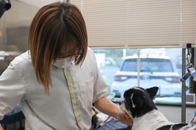 株式会社ベアリッジの求人・転職情報