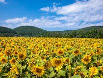 株式会社ドリームキャッチャーのアルバイト・バイト求人情報-03