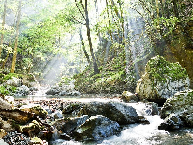 奈良県川上村役場