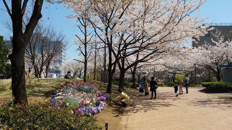東京メトロ有楽町線　豊洲駅のアルバイト・バイト求人情報-02