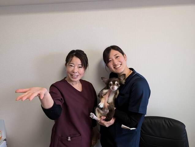 株式会社サンブルーム　はるいろ訪問看護ステーションの求人・転職情報