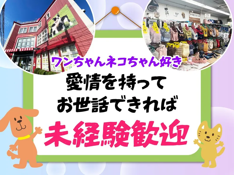 株式会社ボストンの求人・転職情報