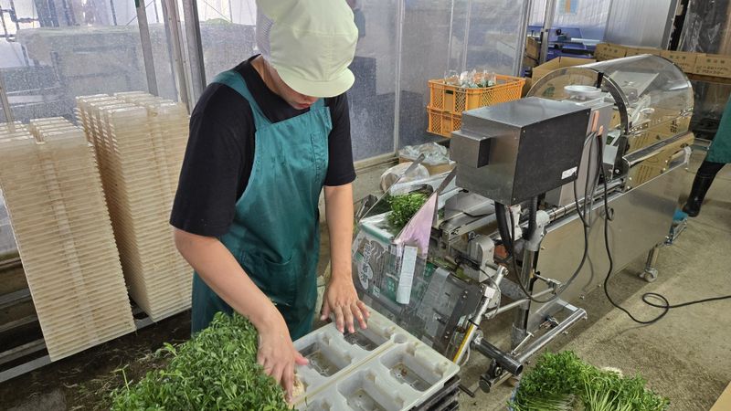 有限会社植木農園のアルバイト・バイト求人情報-04
