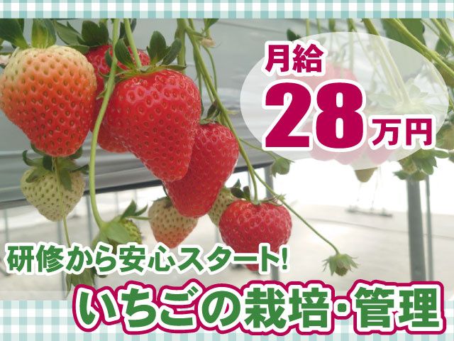 アイル･コーポレーション株式会社の求人・転職情報