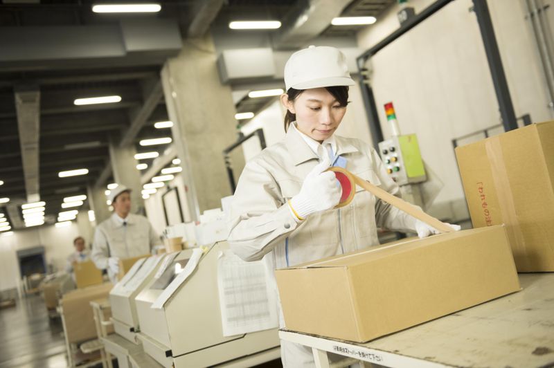 株式会社マッシュの求人・転職情報