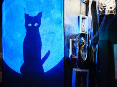 SEO TOKYO【吉祥寺店】のアルバイト・バイト求人情報-02