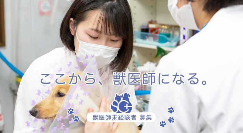 酒井動物クリニックの求人・転職情報