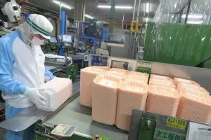 株式会社エフピコ北海道の求人・転職情報