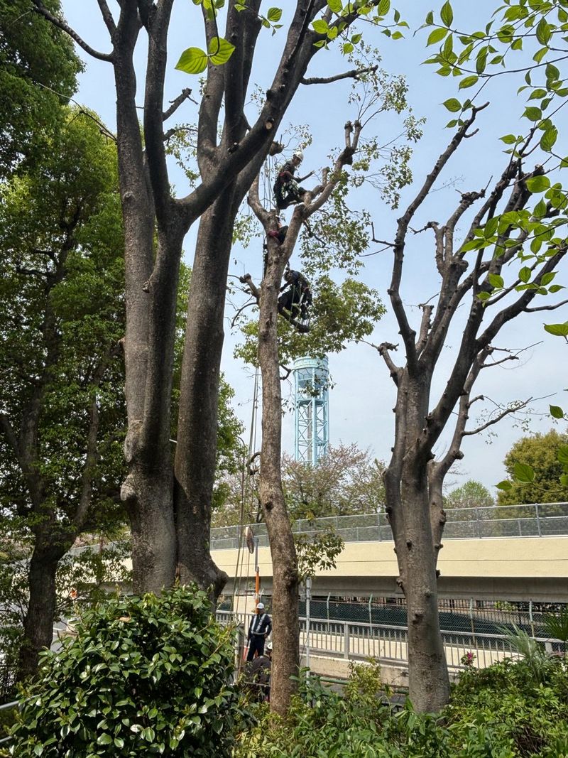 株式会社小西造園土木のアルバイト・バイト求人情報-02