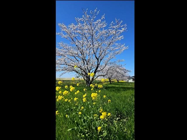 有限会社広和興業のアルバイト・バイト求人情報-05