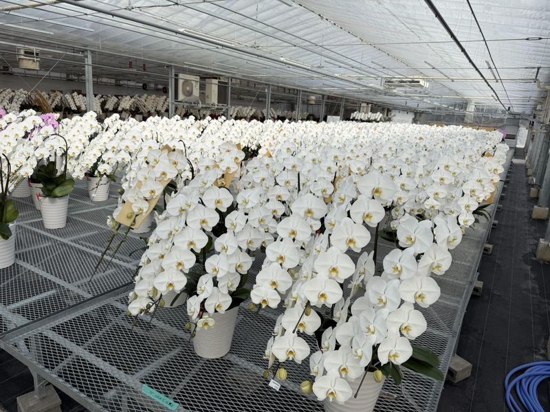 株式会社リーフの求人・転職情報