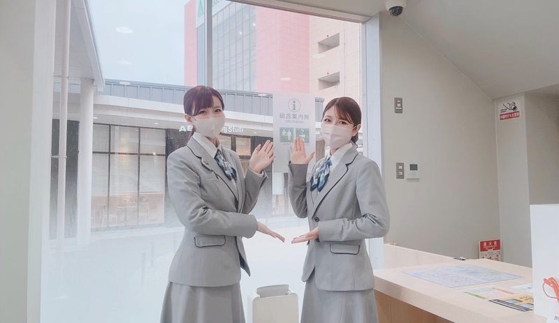 株式会社ディンプルの求人・転職情報