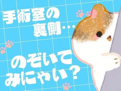 ワタキューセイモア株式会社の求人・転職情報