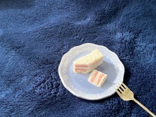 フィールドサーブジャパン 営業第1グループの派遣求人情報