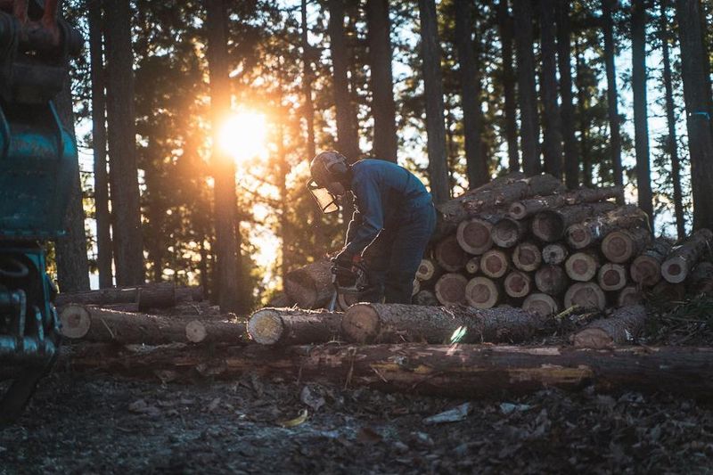 神流川森林組合