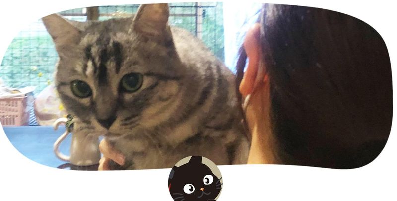 合同会社ブドリの町からの求人・転職情報