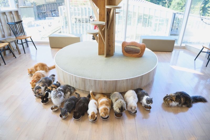 リポット株式会社の求人・転職情報