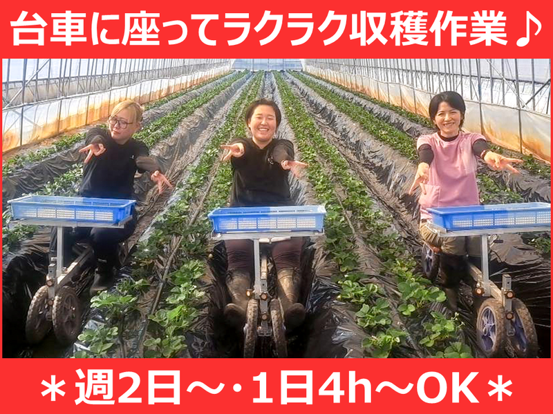 齋藤農園の派遣求人情報