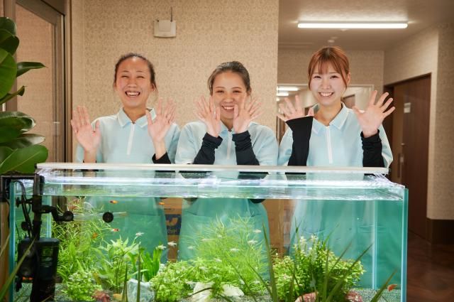 さざなみの派遣求人情報