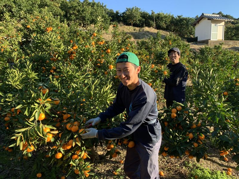 西川農園所有の園地のアルバイト・バイト求人情報-02